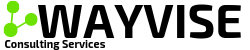 Wayvise Consulting Services